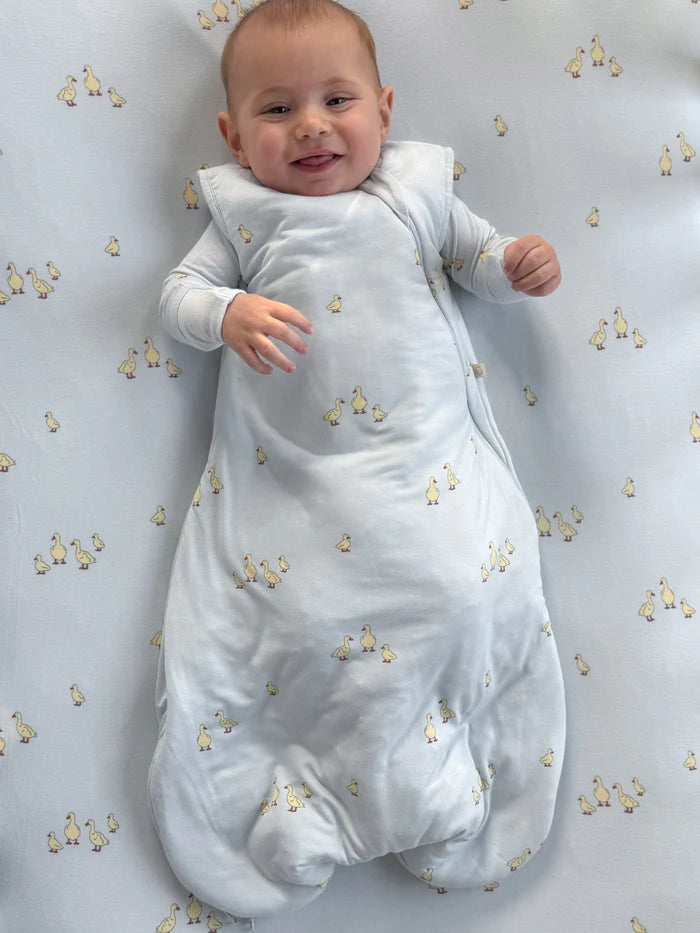 Transitional Swaddle| Friends