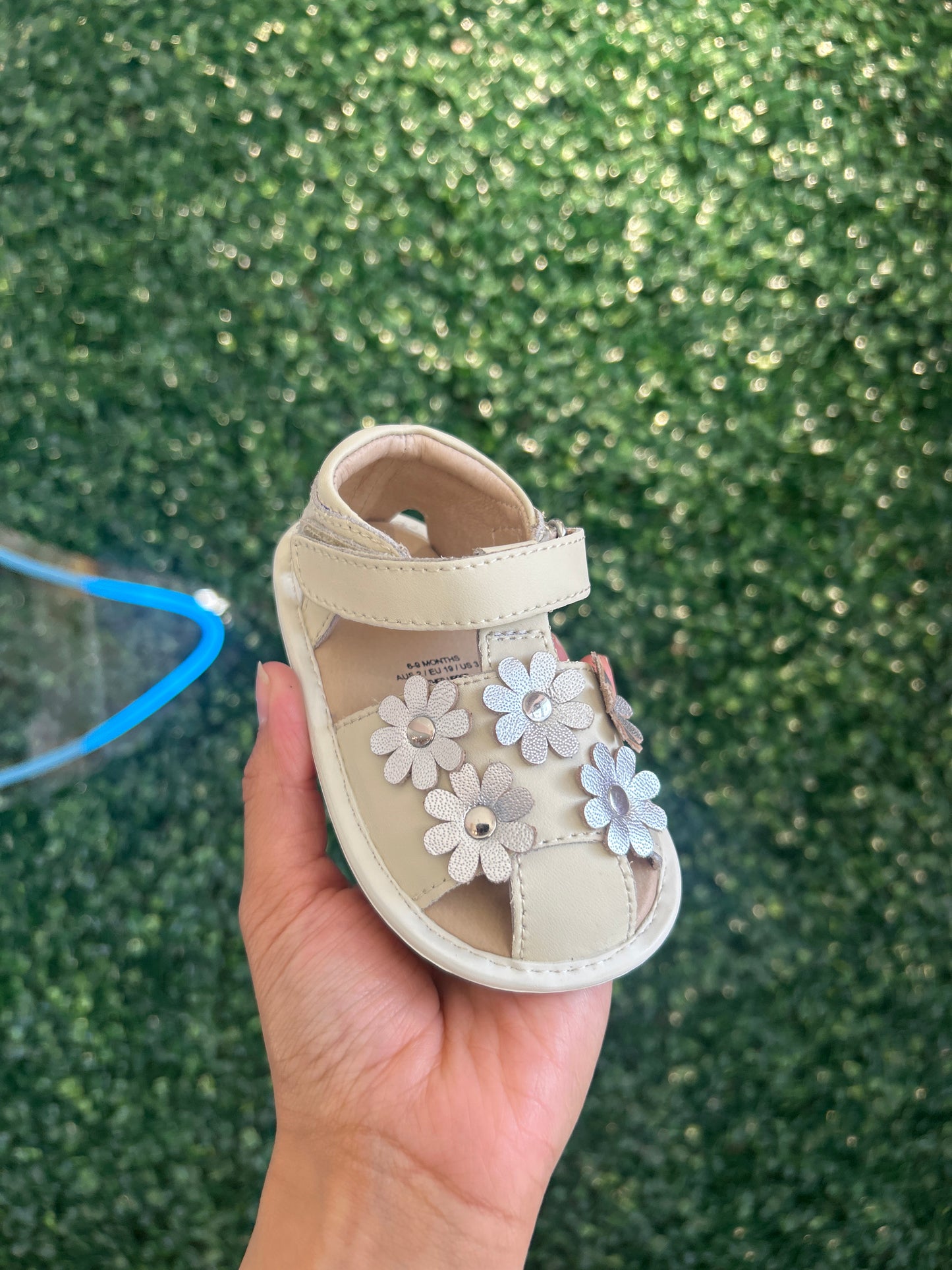 Wild Flower Vanilla/Silver Sandal