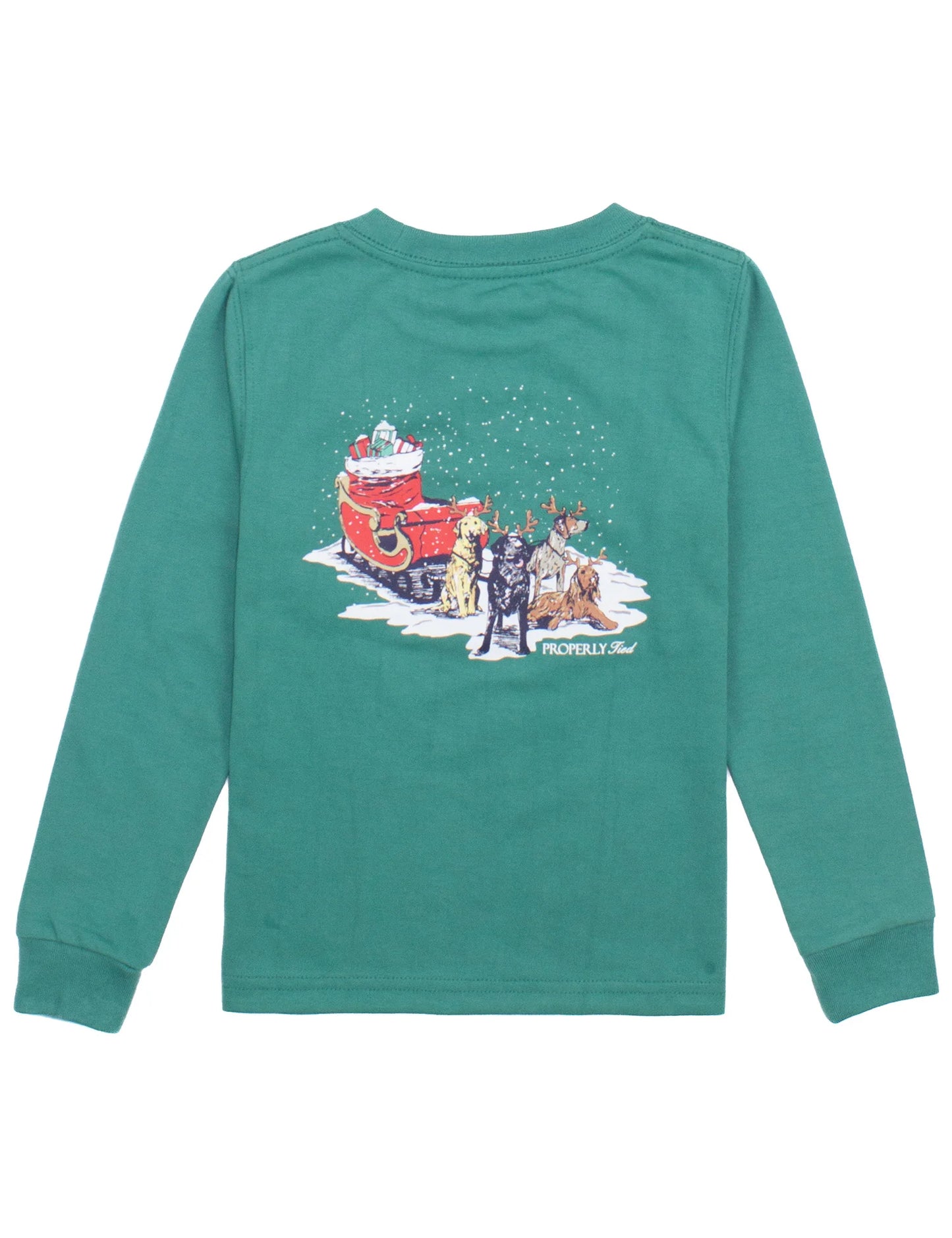 Boys Sleigh Dog LS Teal