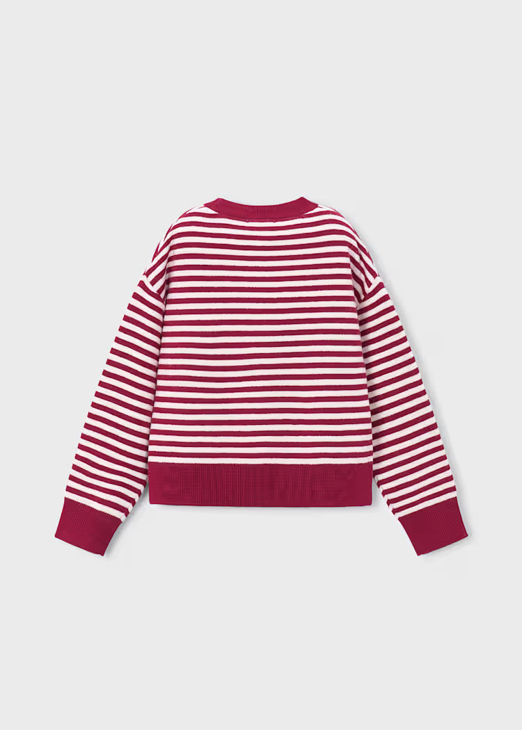 Girl Striped Sweater With Scarf
