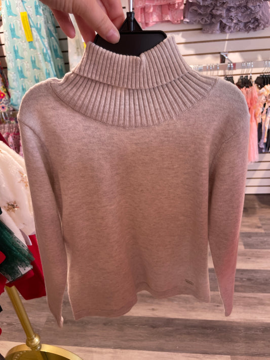 Basic Knitted Turtleneck Sweater