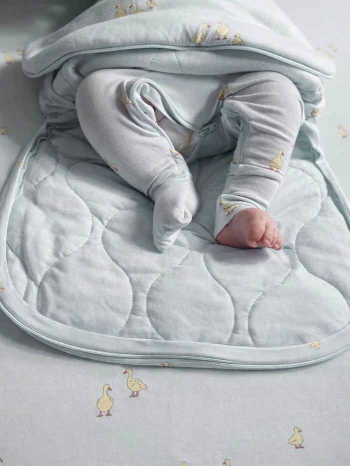 Sleep Bag Swaddle | Friends