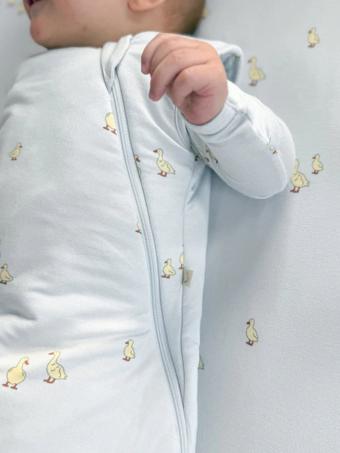 Transitional Swaddle| Friends