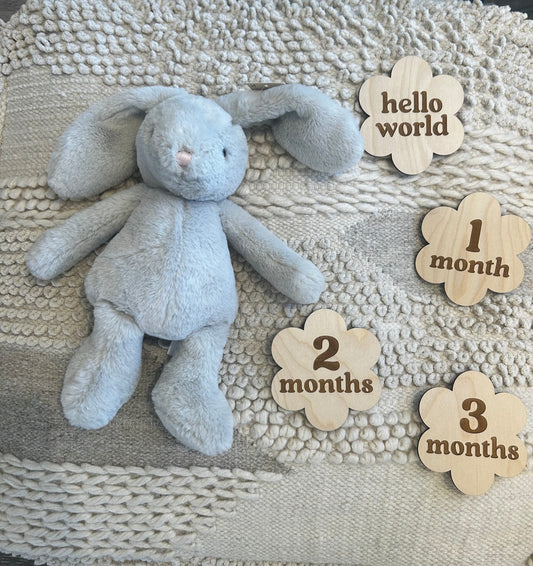 Baby Milestone Signs