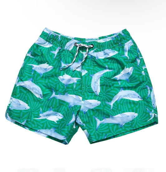 REEF SHARK SWIM SHORT