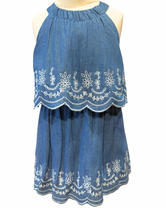 Embroidered Twofer Dress