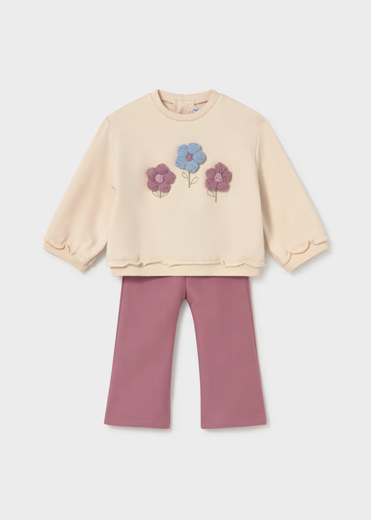 Baby Sweatshirt and Pants Set